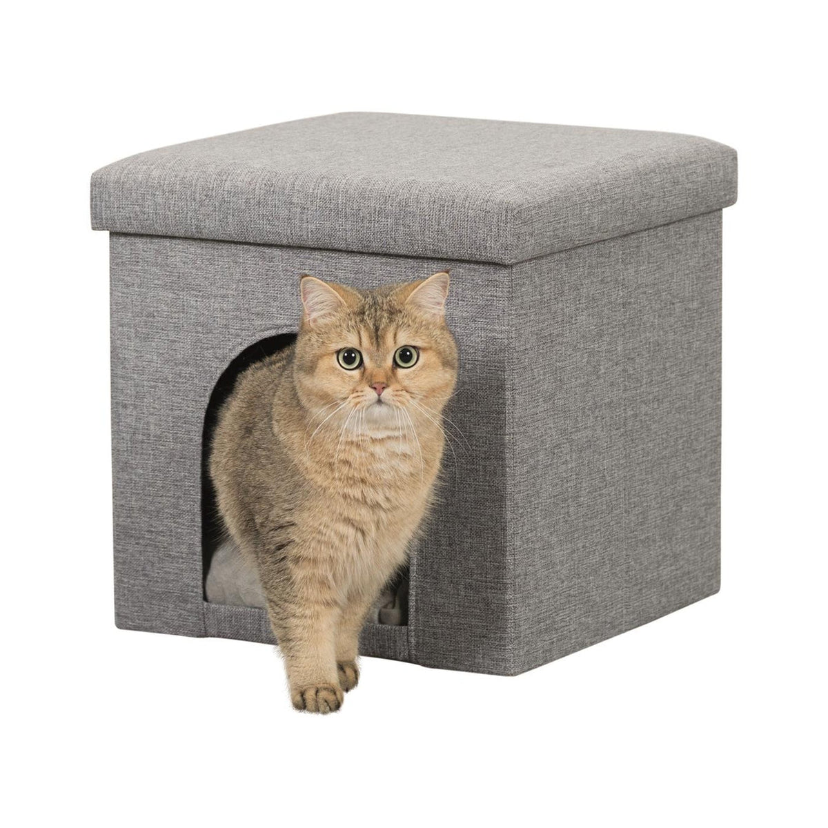 Katt i kattehule Alois med lokk, grå
