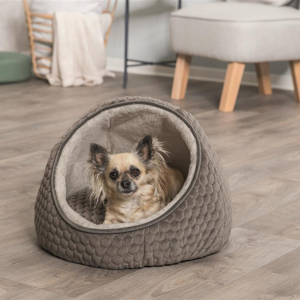 Katt i kattehule Livia i fløyel og plysj, taupe og krem