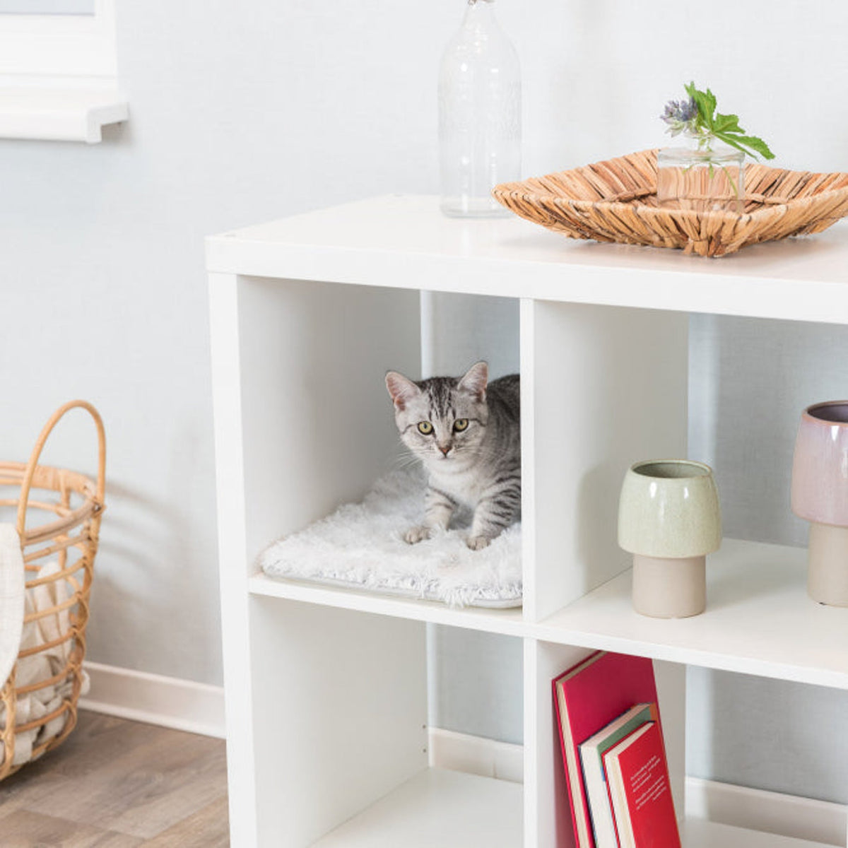Katt på kattematte Harvey til hyllerom, grå, hvit og sort