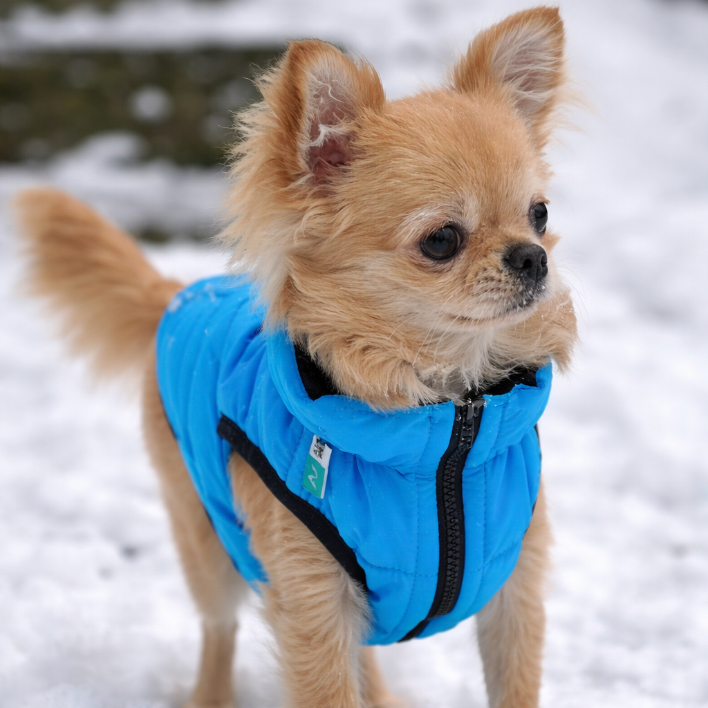 Airy Vest vendbart hundedekken