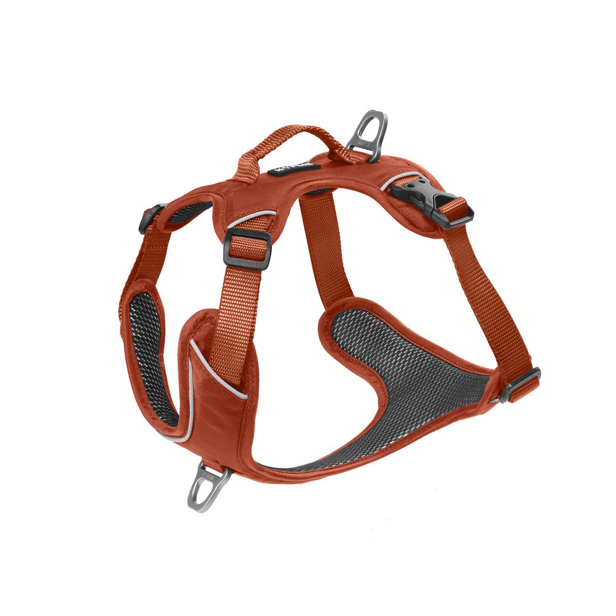 Hundesele KYFLIE Momentum