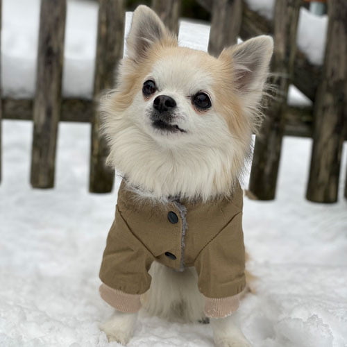 Parkas til hund – fôret jakke med hette (khaki/grønn)