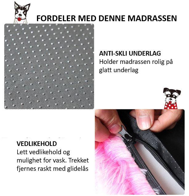 Madrass til hund - Madrass kjæledyr - Hundevennen