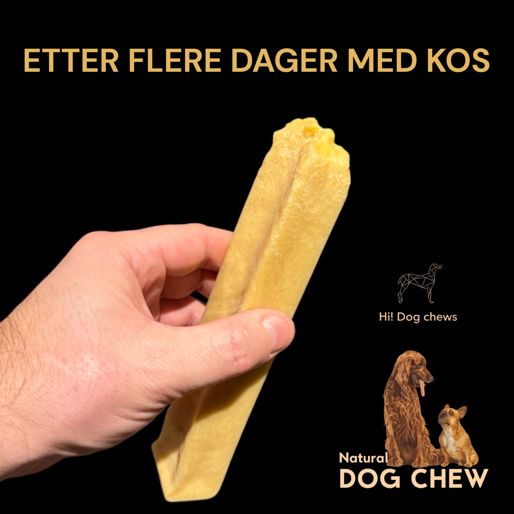 Hi! Dog Chews Nature ostetygg
