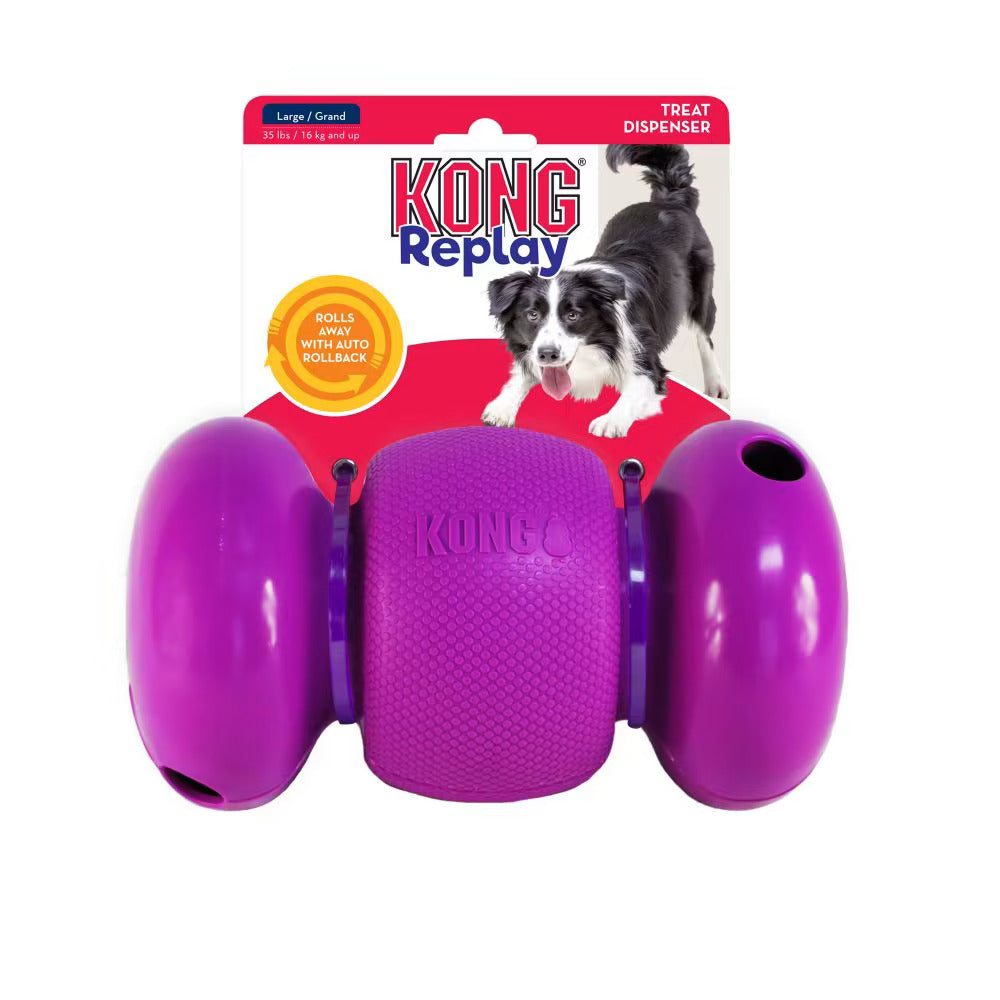 KONG RePlay