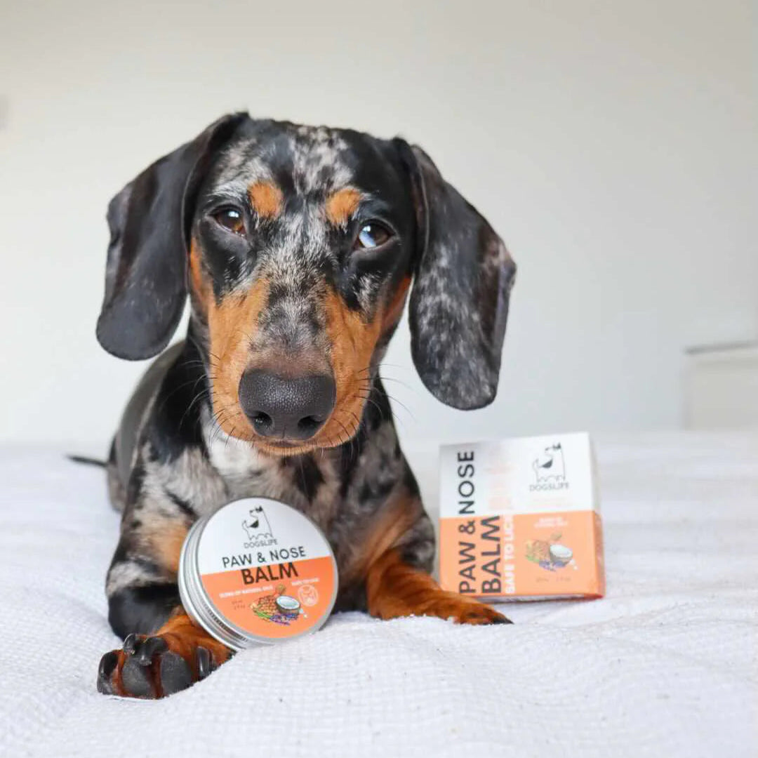 OurPetsLife potesalve og snutesalve