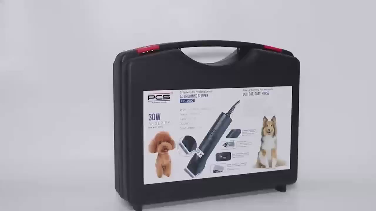 Last inn video: Video av pcs CP-9000
