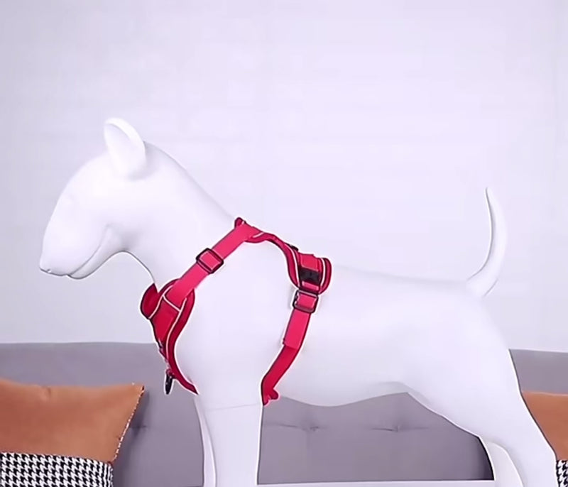 Hundesele best for sma hunder