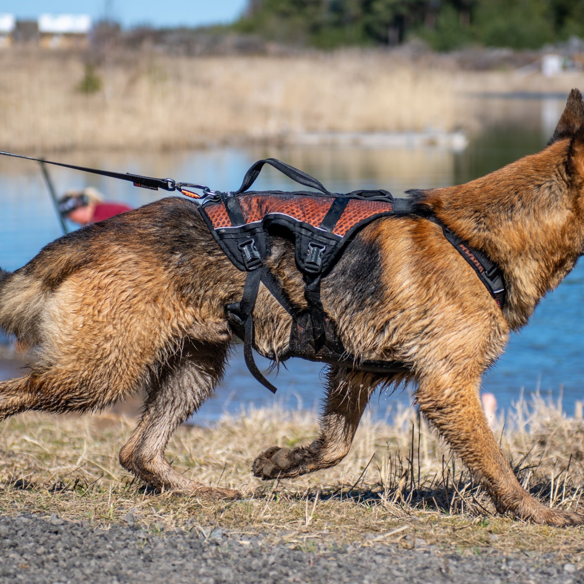 Non-Stop Dogwear Rock harness long