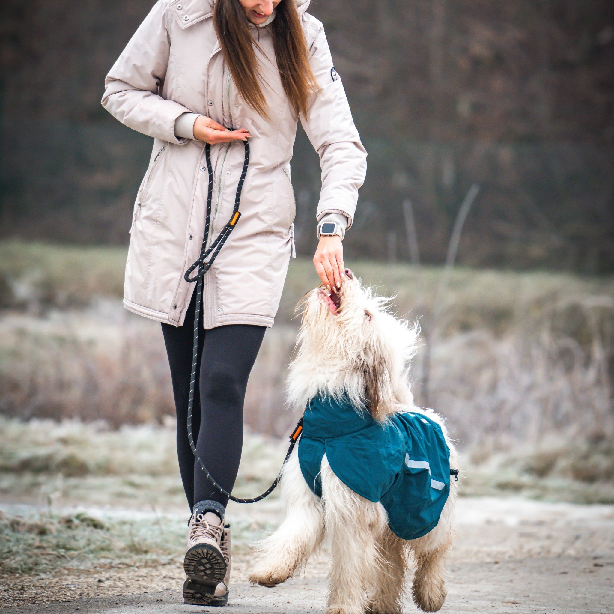 Non-Stop Dogwear Rock leash