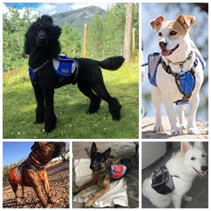 Ryggsekk til hund /Kløv hund - Få med gratis bånd - Hundevennen