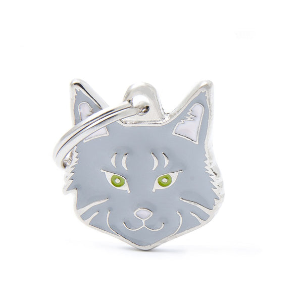 Friends - Silver Maine Coon