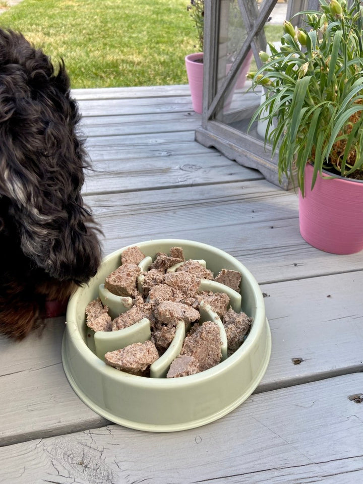 Slow Feeder - Hund som spiser fort -Mat til aktivitet - Hundevennen