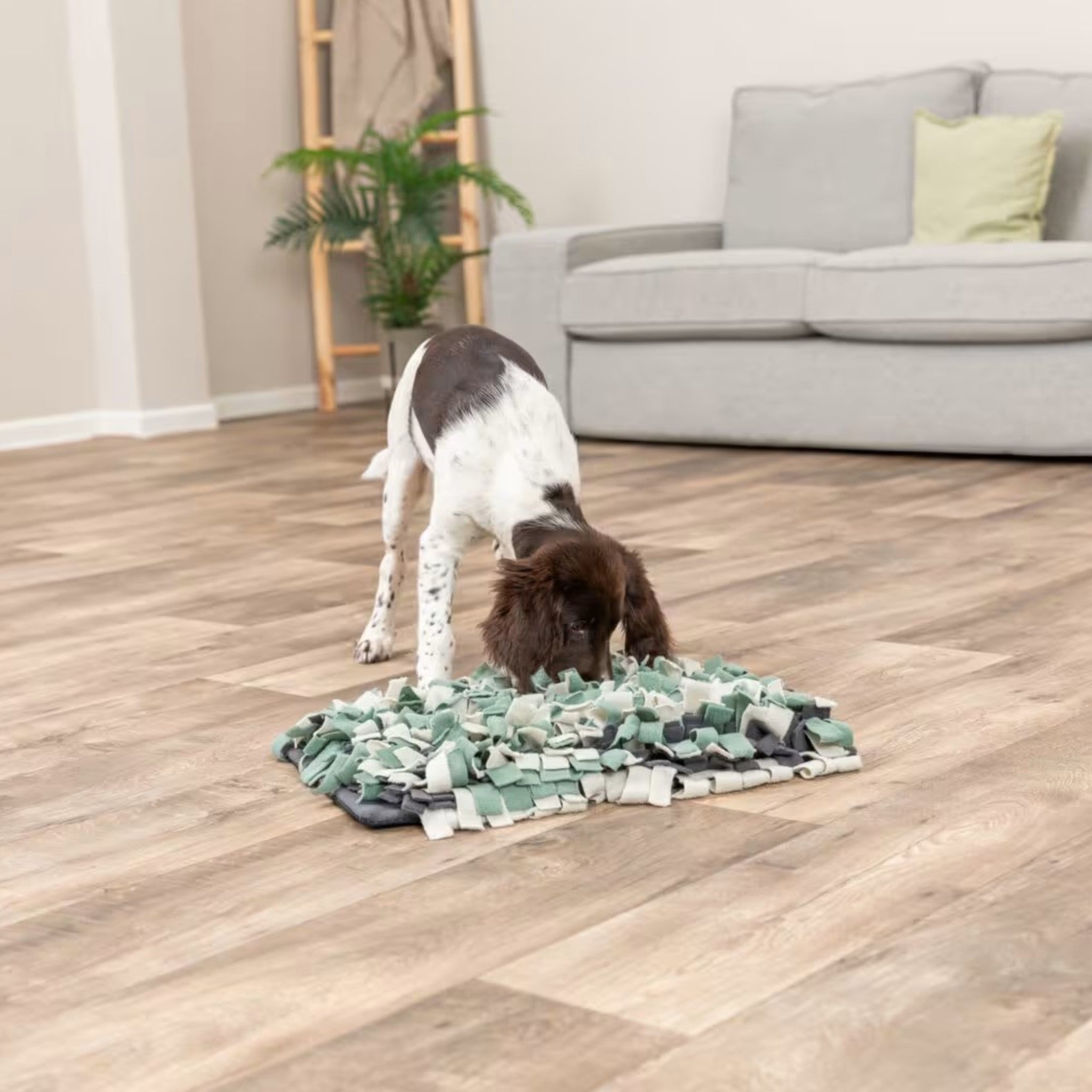 Dog Activity Sniffing Carpet – snuseteppet til hund og katt