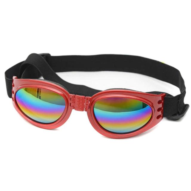 Solbriller hund - Doggles - Hundevennen