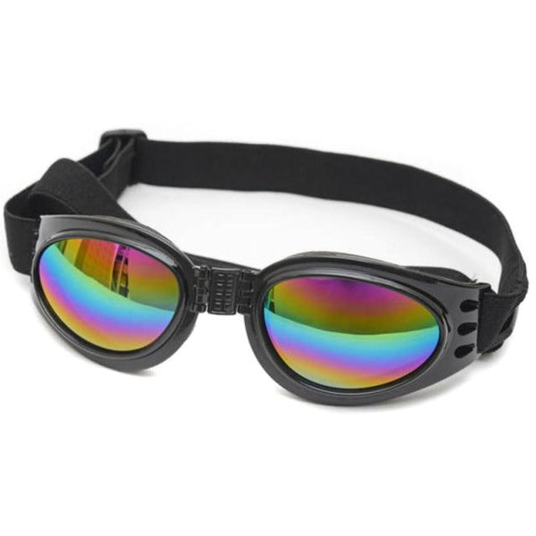 Solbriller hund - Doggles - Hundevennen