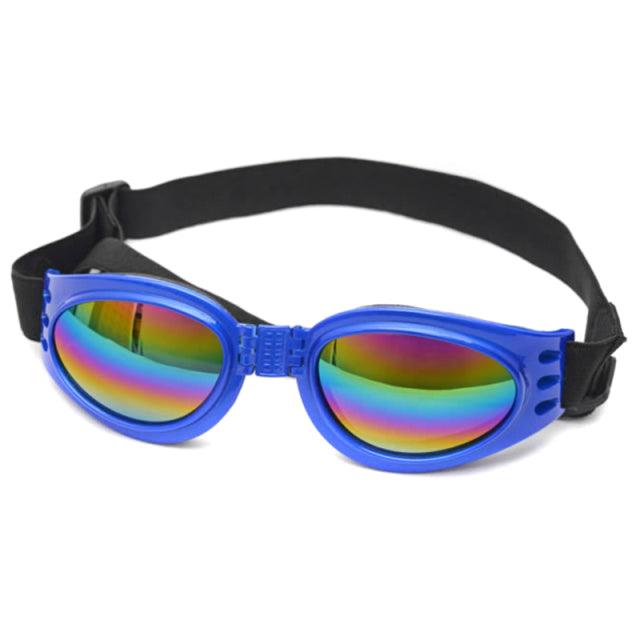Solbriller hund - Doggles - Hundevennen
