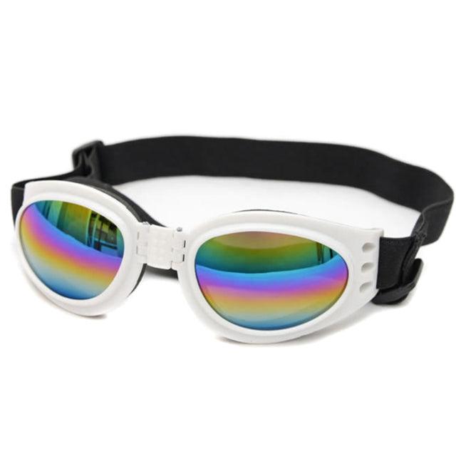 Solbriller hund - Doggles - Hundevennen