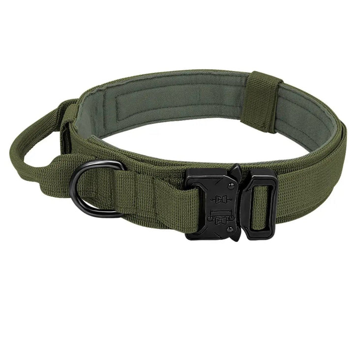 Solid Halsbånd - Halsbånd til hund - Hundevennen