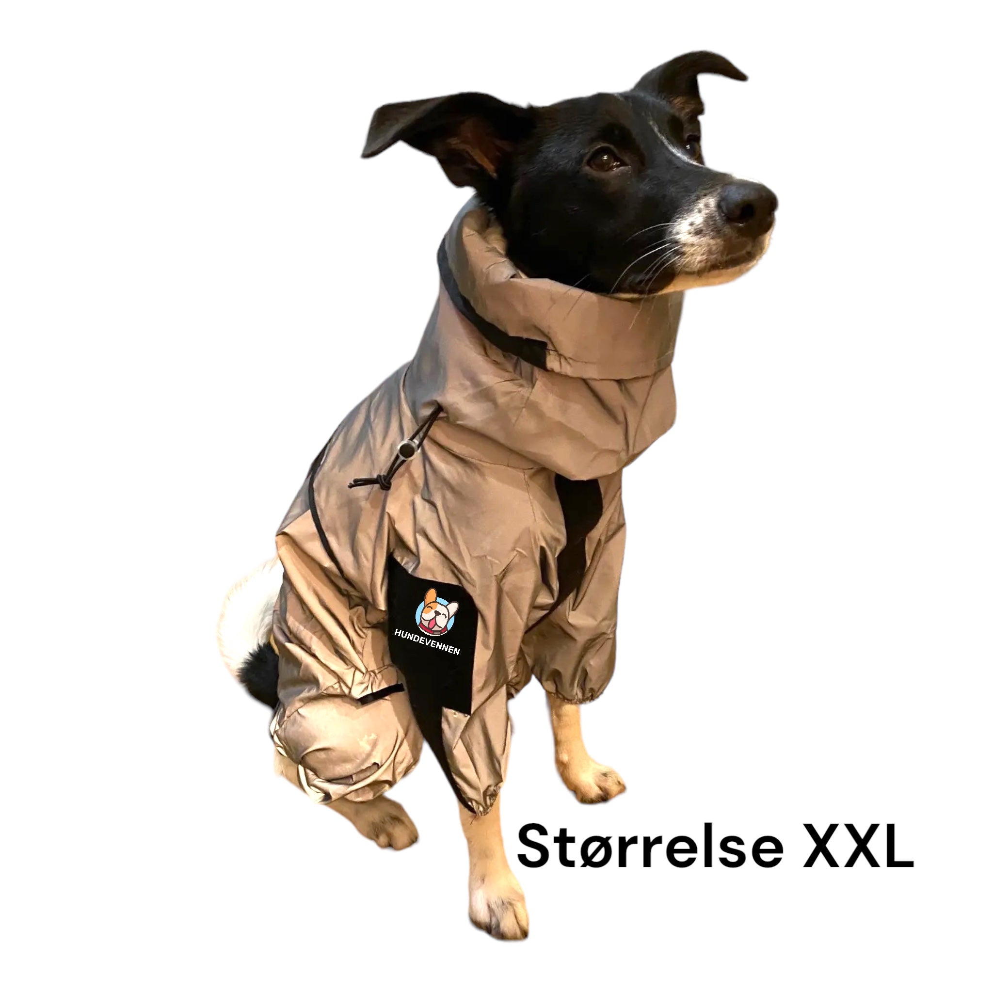 Regndress for hund med heldekkende refleks
