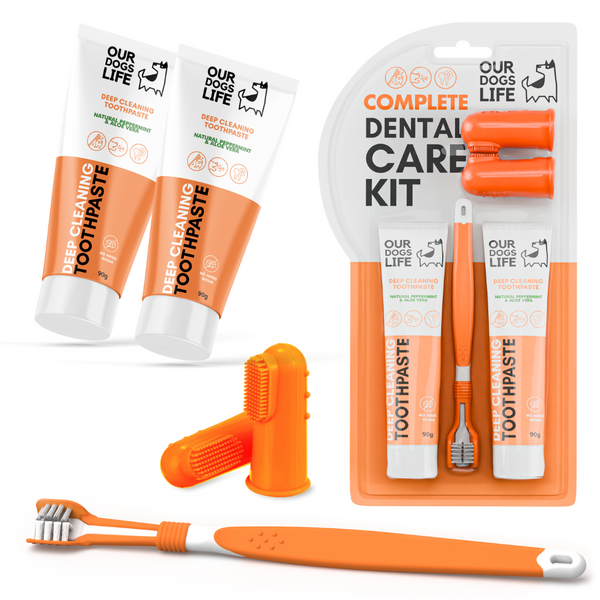 Tannpleiesett til hund – tannkrem, triple-børste og fingerbørster (Dental Care Kit)