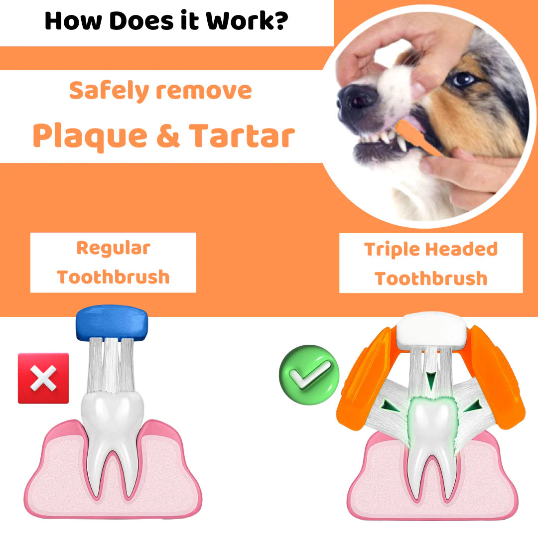 OurPetsLife tannpleiesett