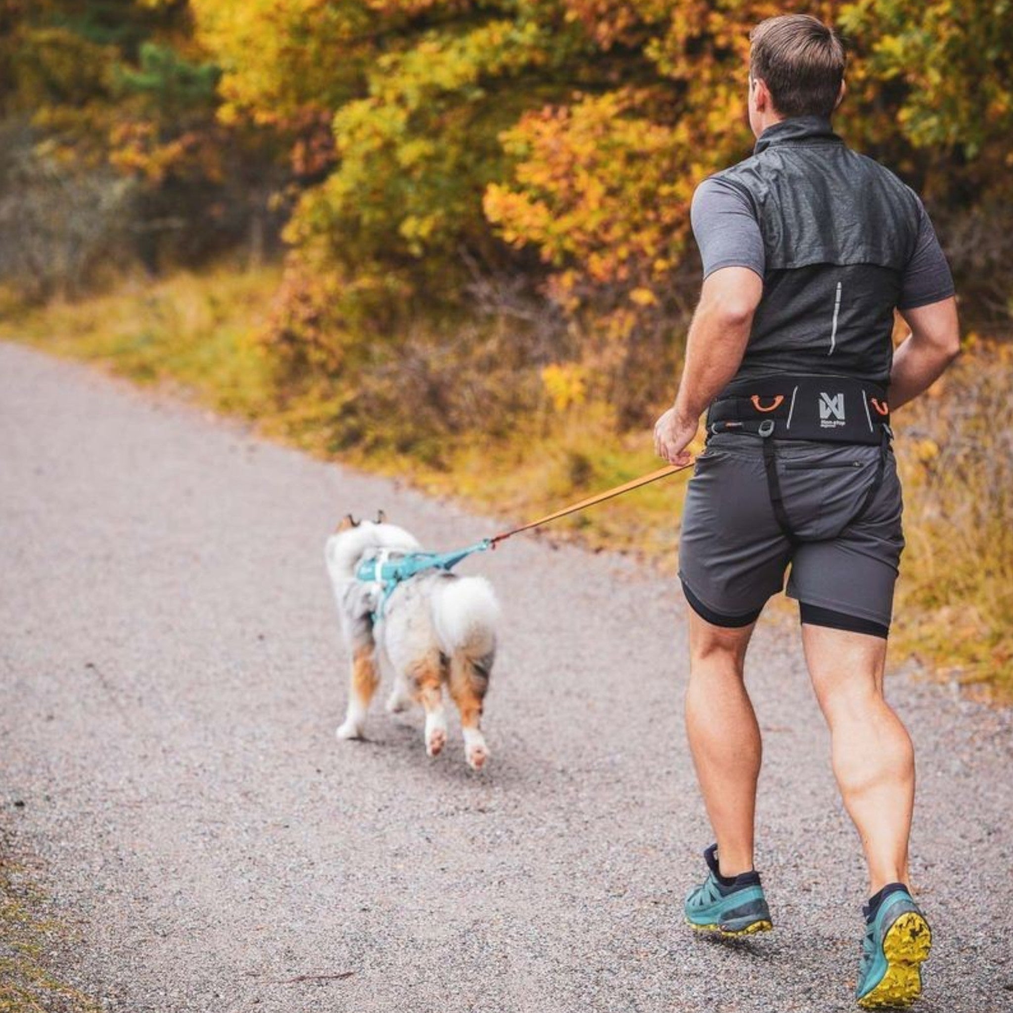 Non-Stop Dogwear Trekking belt 2.0