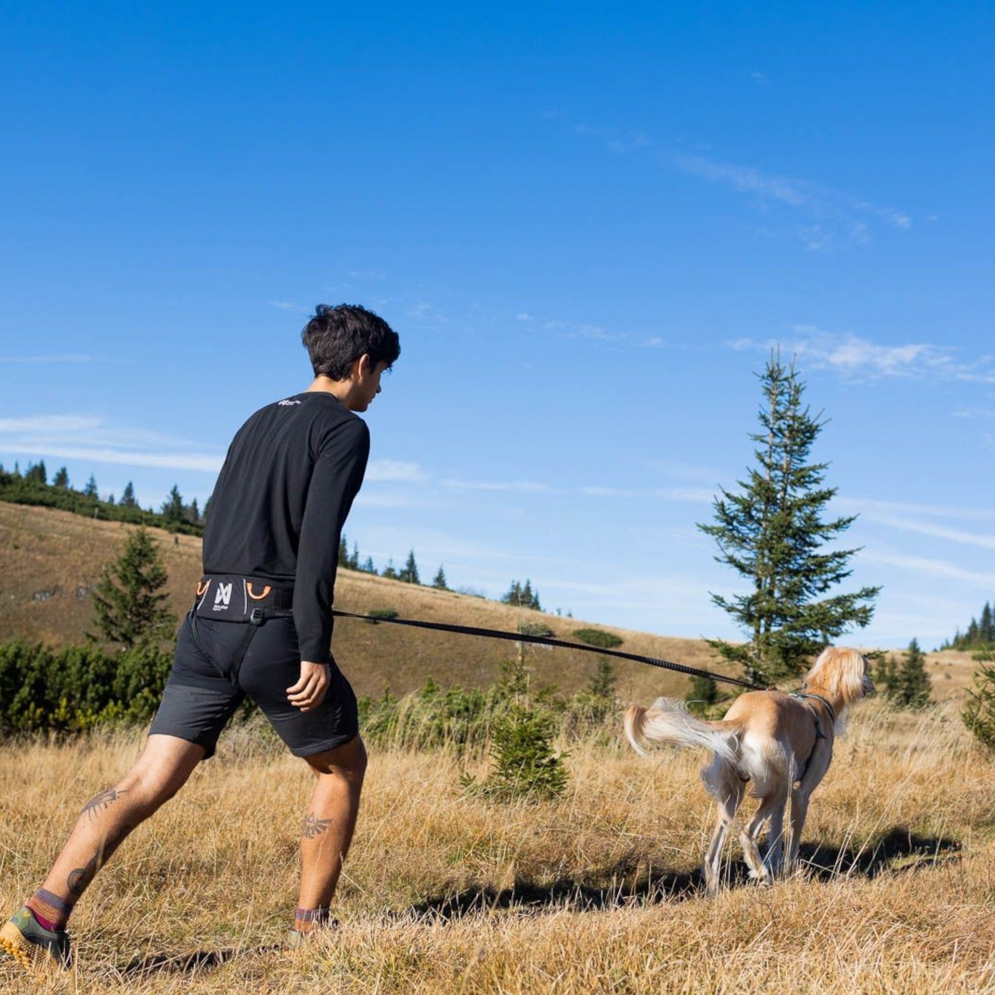 Non-Stop Dogwear Trekking belt 2.0