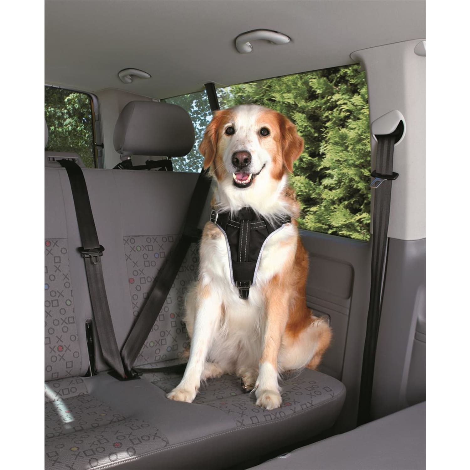 Sikkerhetsele sykkelsele dog protect ekstra kraftig 20 mm 65–80 cm
