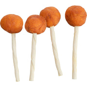 Trixie Premio Lolly med torsk 9 cm 15 g (løsvekt)