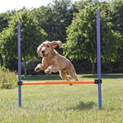 Trixie Agility hinder 1,29 m x 1,15 m blå/oransje