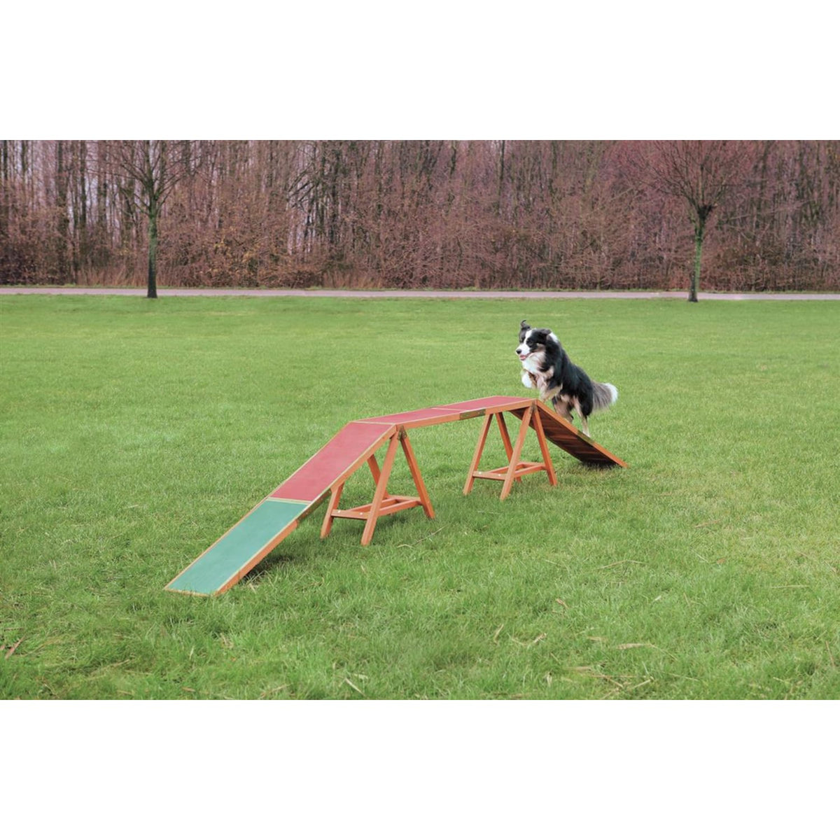 Trixie Agility Dogwalk 456 × 30 × 64 cm max 80 kg