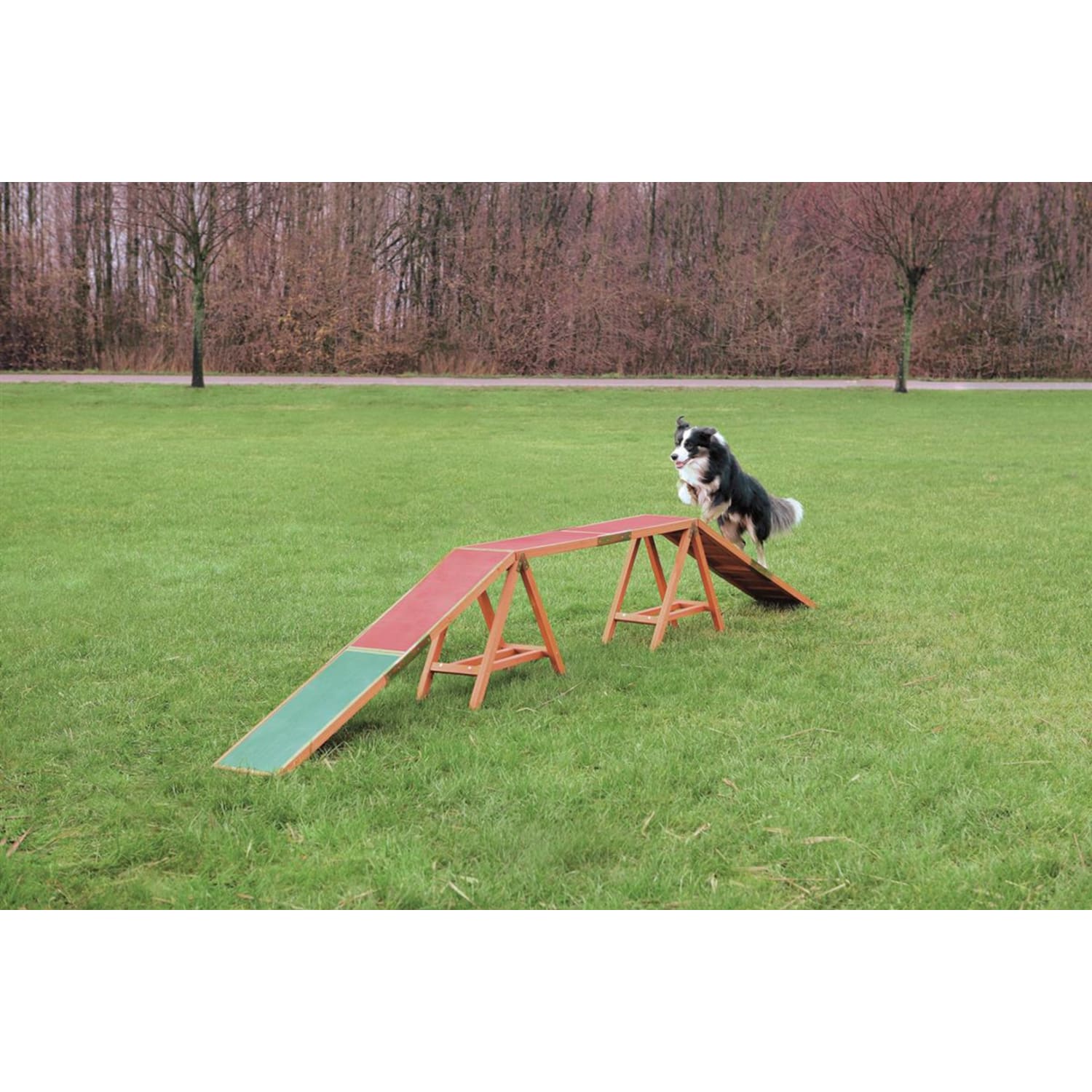 Trixie Agility Dogwalk 456 × 30 × 64 cm max 80 kg