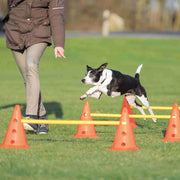 Trixie Agility hinder inneholder 6 kjegler ø 23 × 30 cm 3 stenger 78 cm