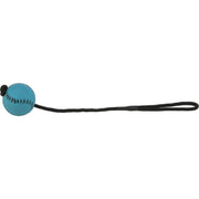 Trixie sportsball med tau som flyter