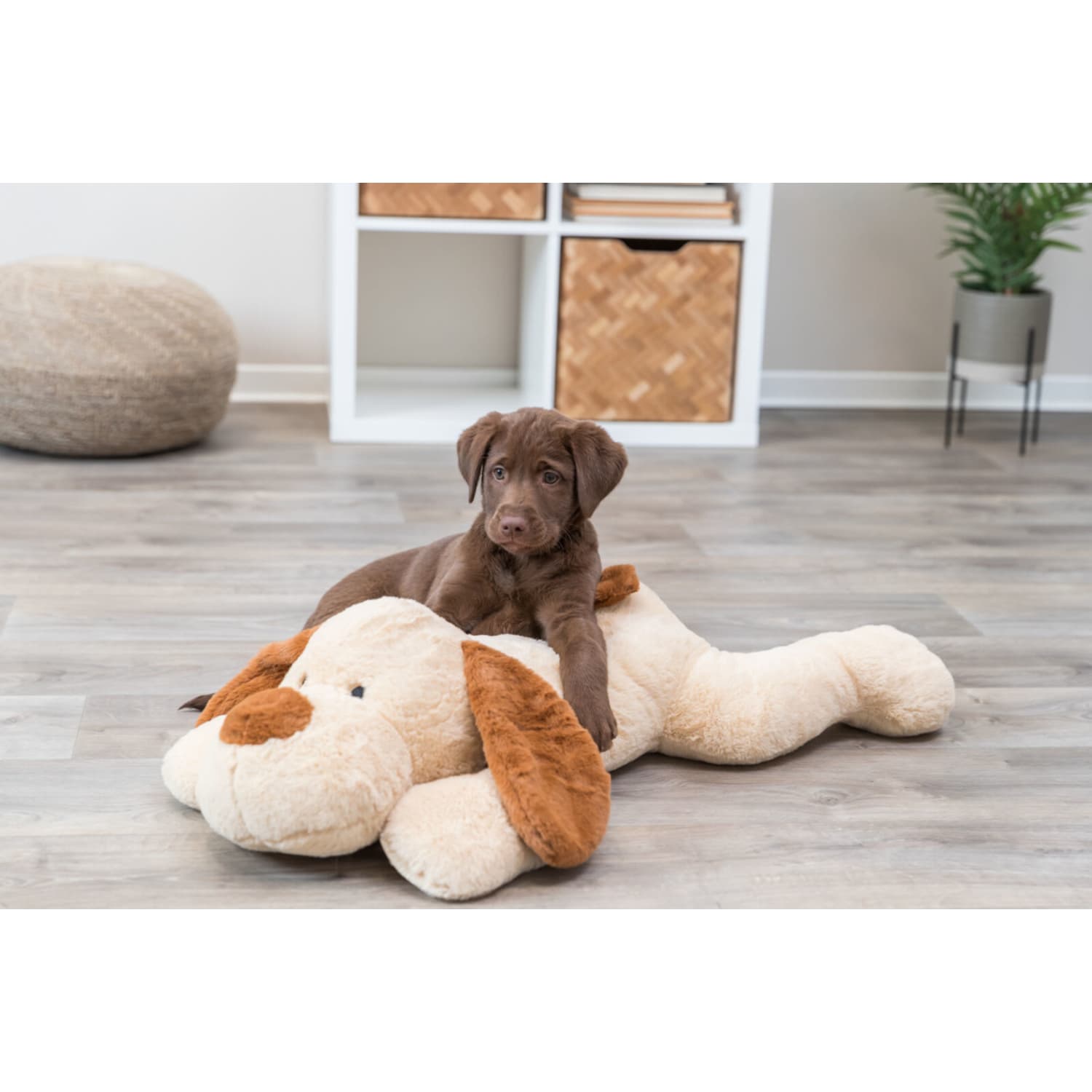 Trixie Benny hund i plysj beige/brun 75 cm