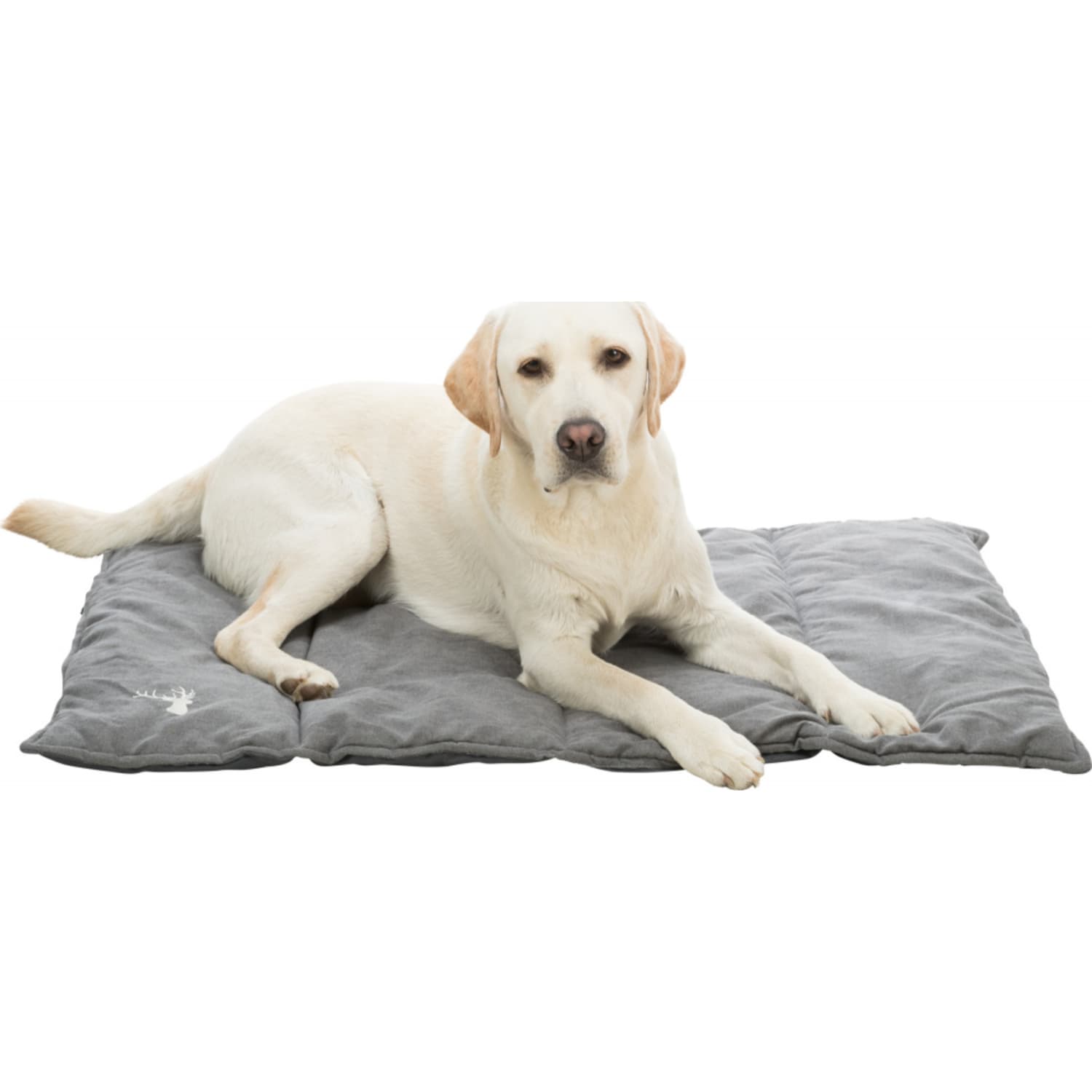 Hundeteppe leni Travelblanket SOFT-edition grå 100 × 70 cm
