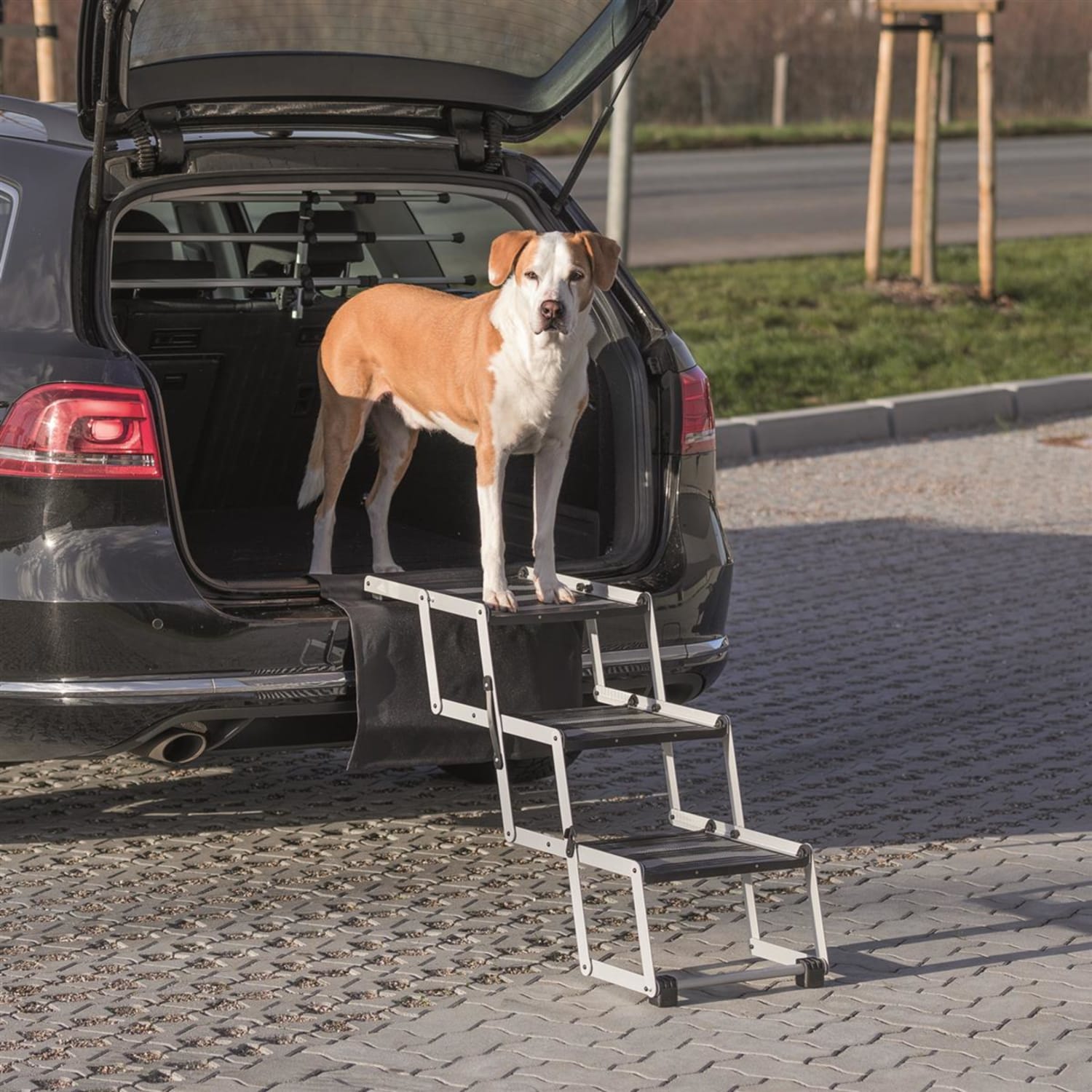 Petwalk trapp B: h:Opptil 57 cm d:Opptil 120 cm aluminium plastikk max 75Kg
