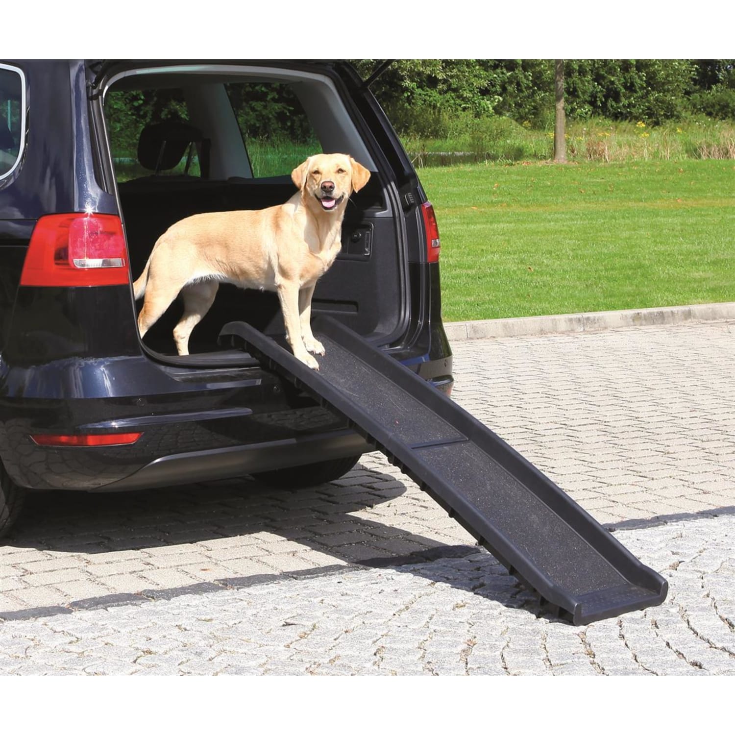 Petwalk rampe plastikk 40 cm max 90Kg