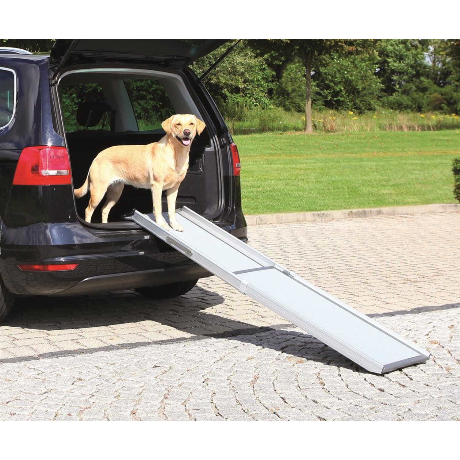 Petwalk teleskoprampe aluminium plastikk 45 cm max 120Kg