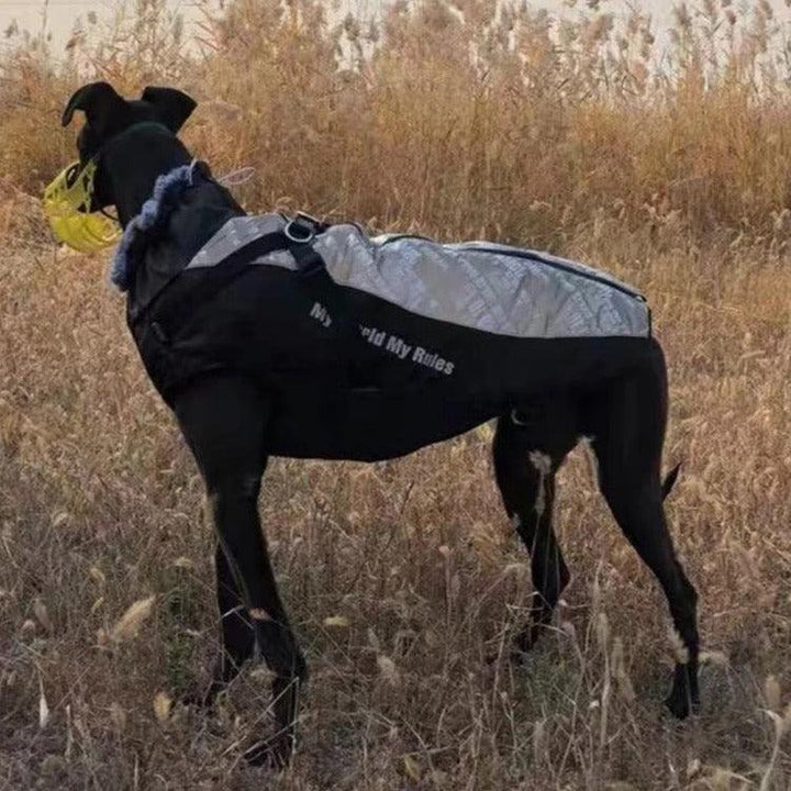 Varmedekken hund - Vinterdekken hund - Hundevennen