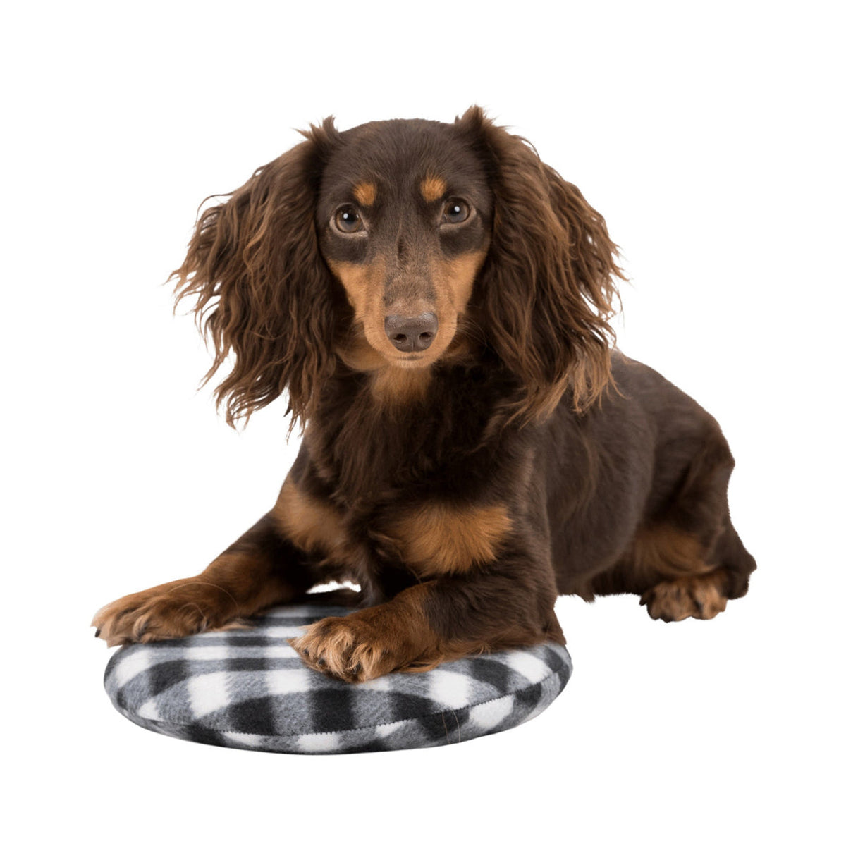 Hund på varmepute til hund for mikrobølgeovn, sort og hvit