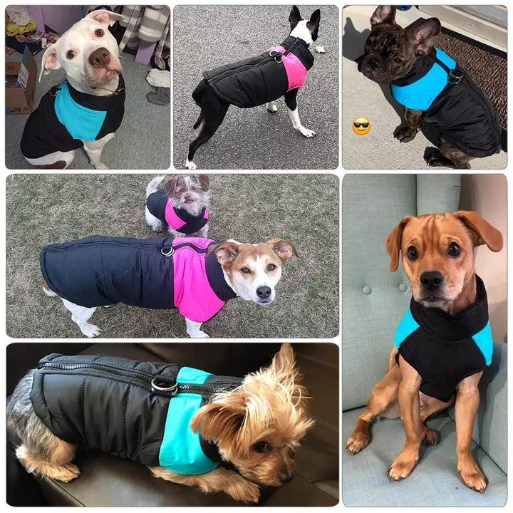 Vattert hundevest med glidelås - Vest til hund - Hundevennen