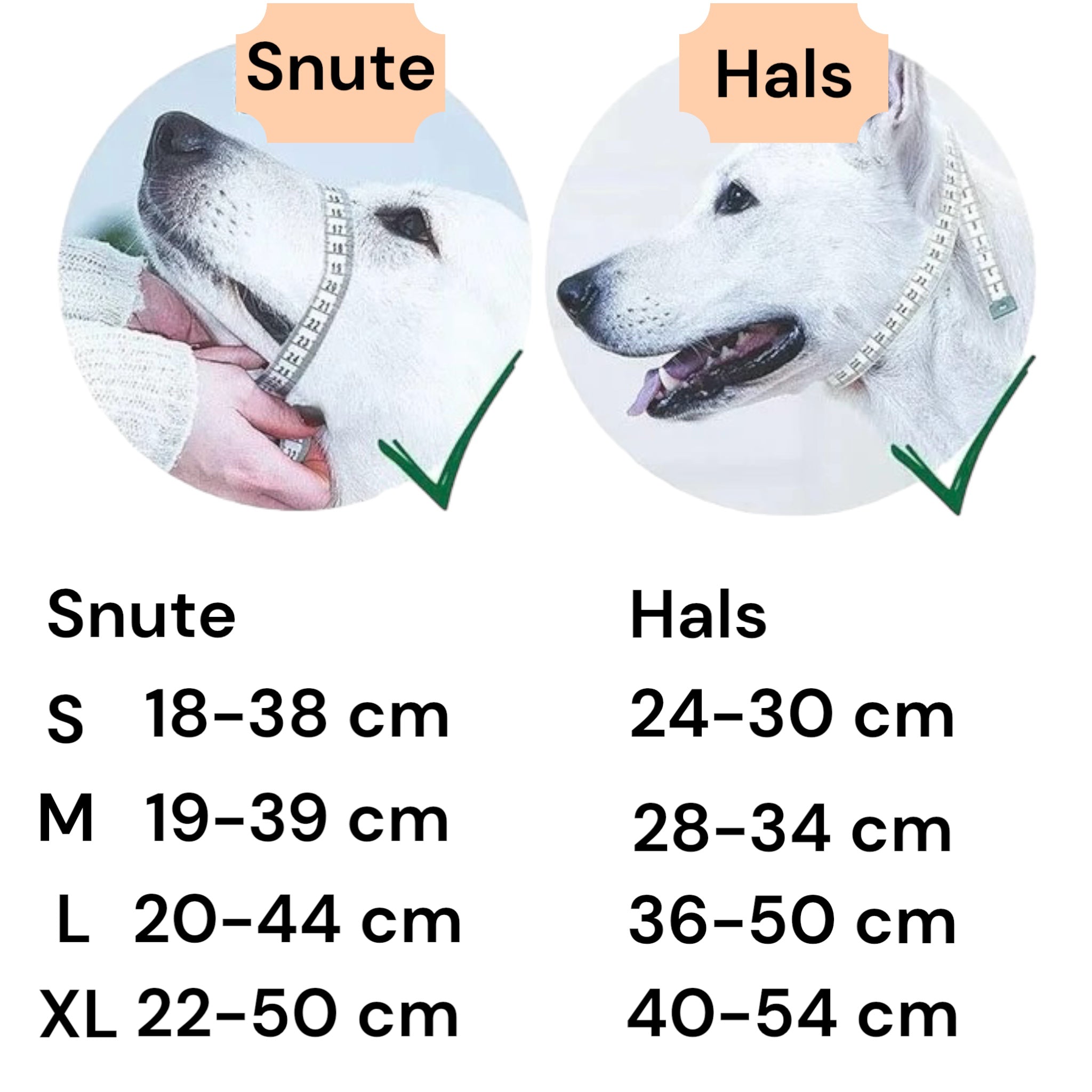 Snutesele