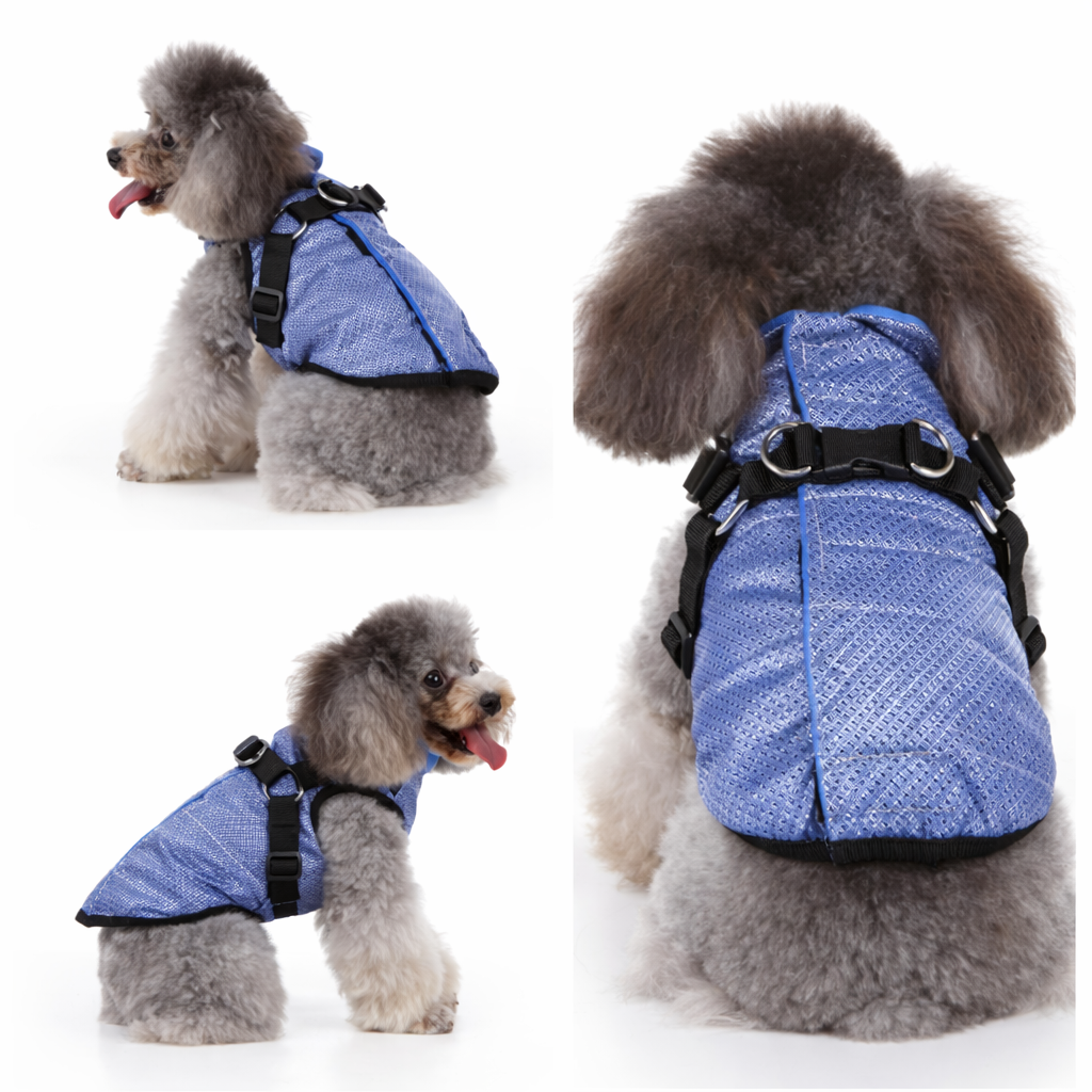 Vest med sele til hund
