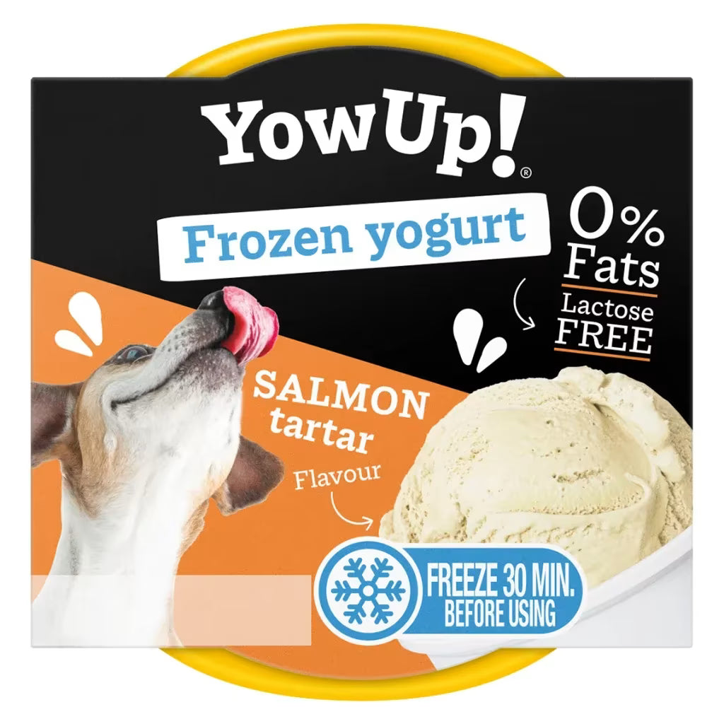 YowUp frossen yoghurt til hund & katt – laksetartar