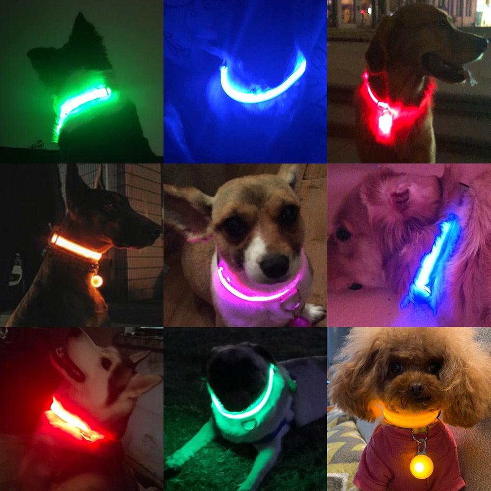 Halsbånd med lys - Hundevennen